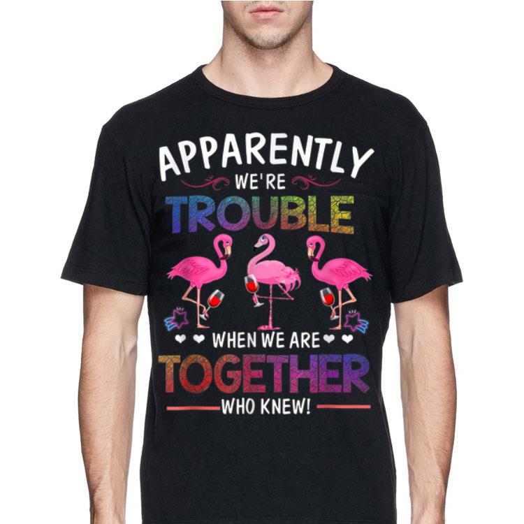 Apparently We're Trouble When We are Together Who Knew Wine Flamingo shirt