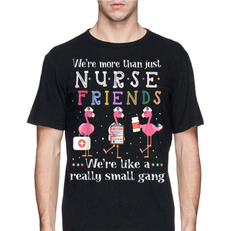 We're More Than Nurse Friends Like A Really Small Gang Flamingos shirt