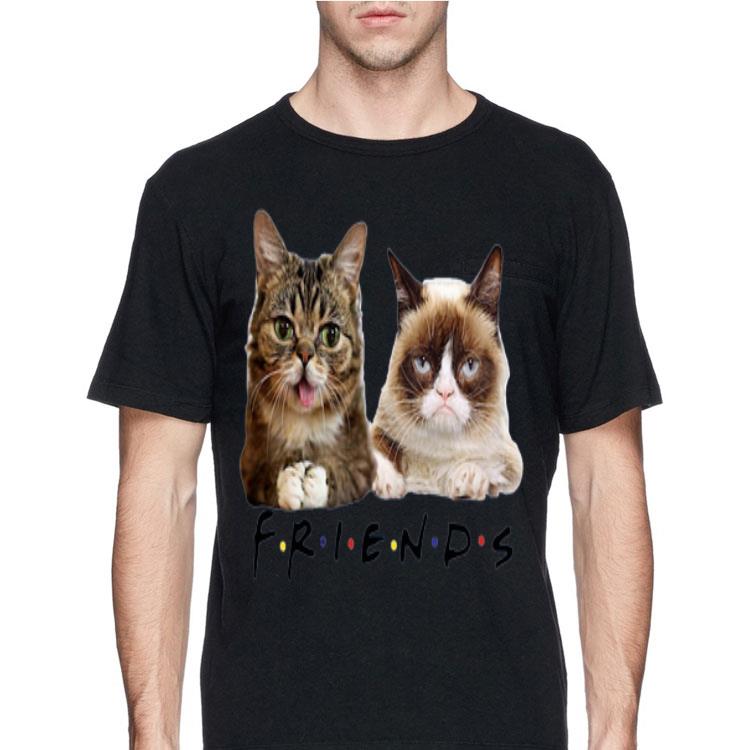 Grumpy and Lil Bub cats Friends TV Show sweater