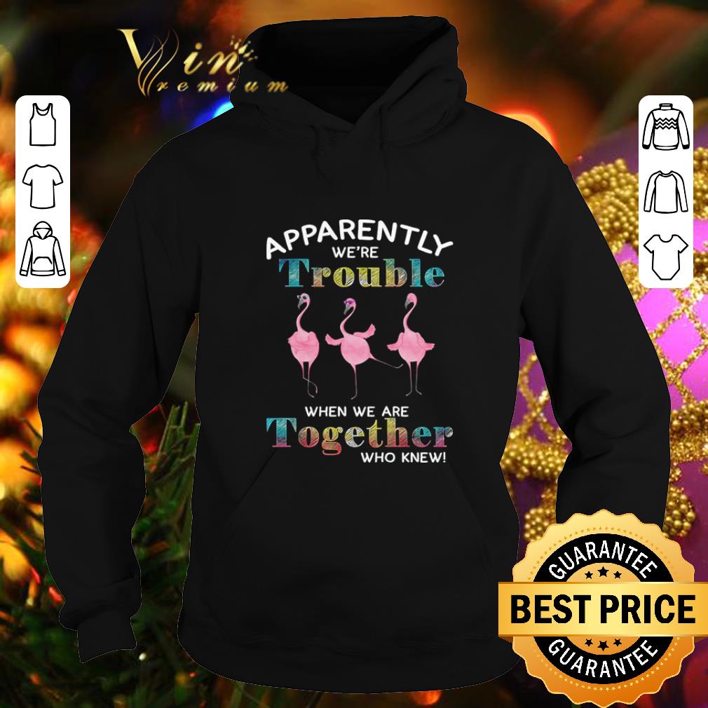 Hot Flamingos apparently we're trouble when we are together who knew shirt