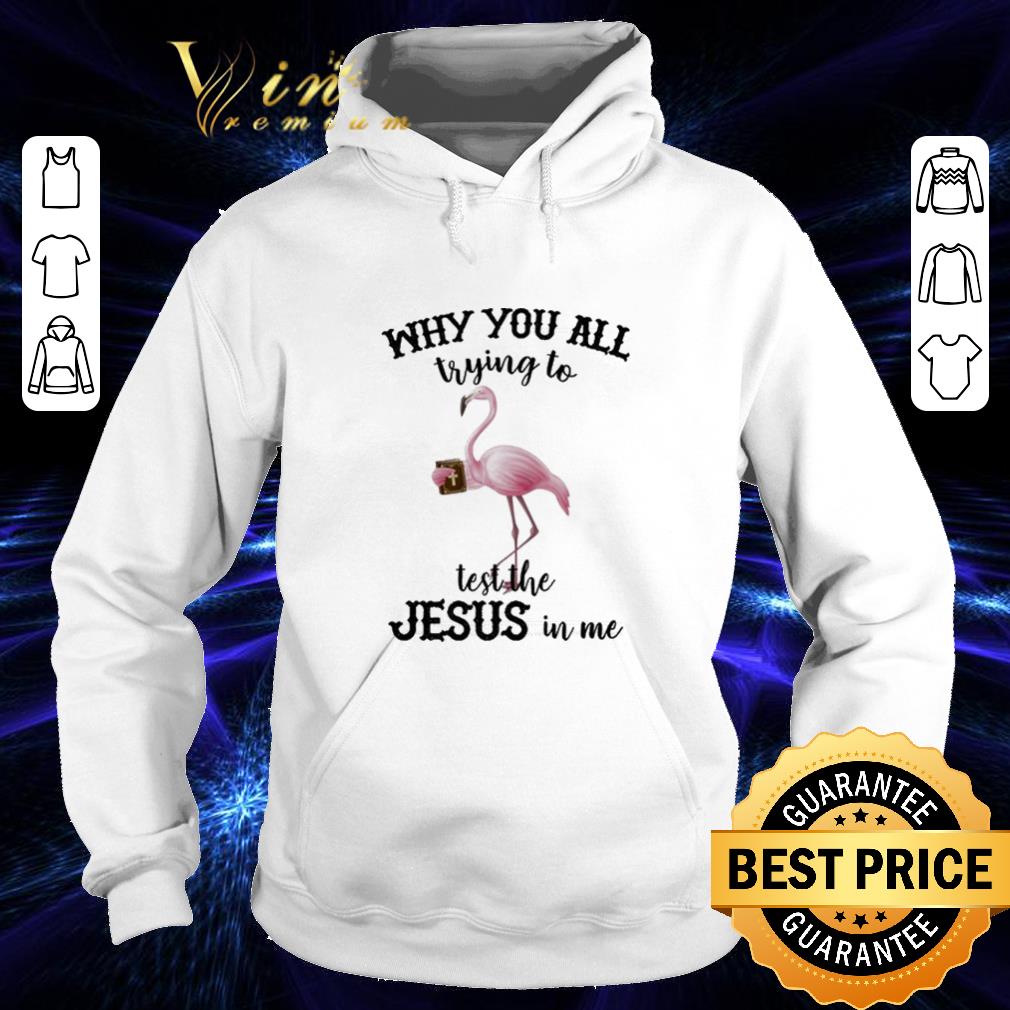 Original Flamingo why you all trying to test the Jesus in me shirt