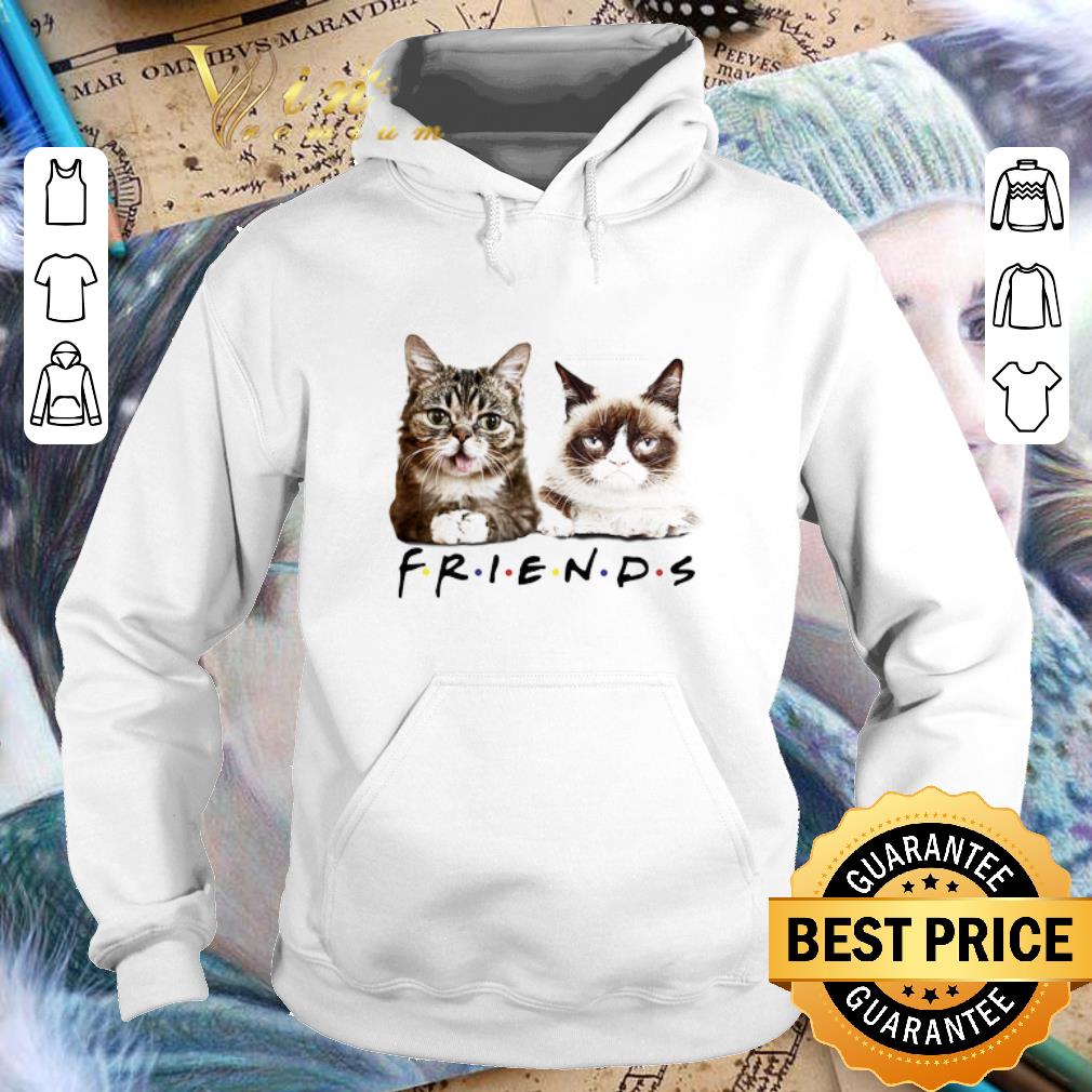 Top Lil Bub Friends Cats Grumpy shirt