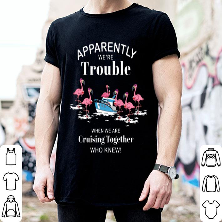 Flamingos Apparently We're Trouble When We Are Cruising Together shirt