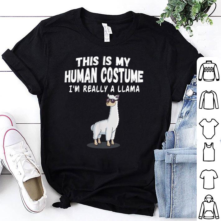 Nice Chihuahua in Pumpkin Funny Halloween Dog Lovers shirt 6