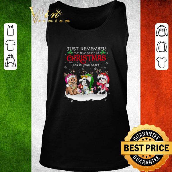 Original Cat Reindeer Just Remember The True Spirit Of Christmas Lies In Your Heart 2