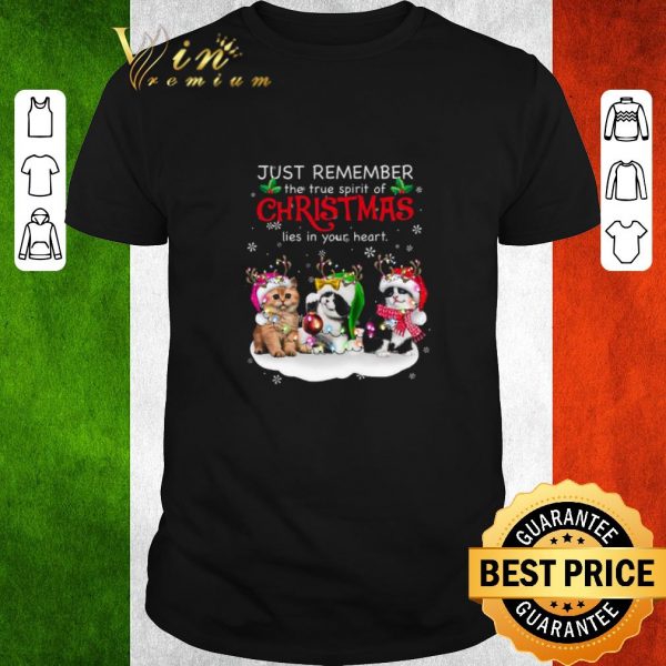 Original Cat Reindeer Just Remember The True Spirit Of Christmas Lies In Your Heart 1
