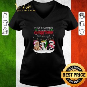 Original Cat Reindeer Just Remember The True Spirit Of Christmas Lies In Your Heart 5