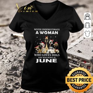 Official Never Underestimate A Woman Who Loves Dogs And Was Born In June Christmas shirt 5