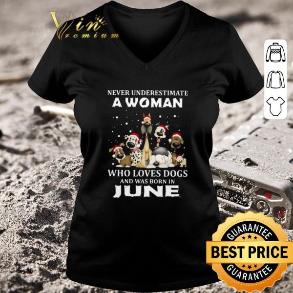 Official Never Underestimate A Woman Who Loves Dogs And Was Born In June Christmas shirt 3