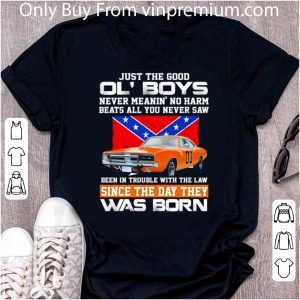 Hot Mississippi Just The Good Ol’ Boys Never Meanin’ No Harm Beats All You Never Saw shirt 4