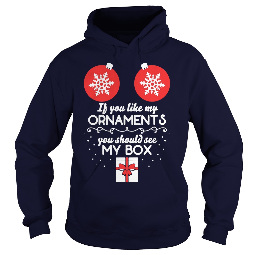 If You Like My Ornaments You Should See My Box Hoodie