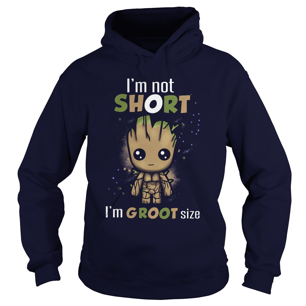 Im Not Short Im Groot Size Hoodie