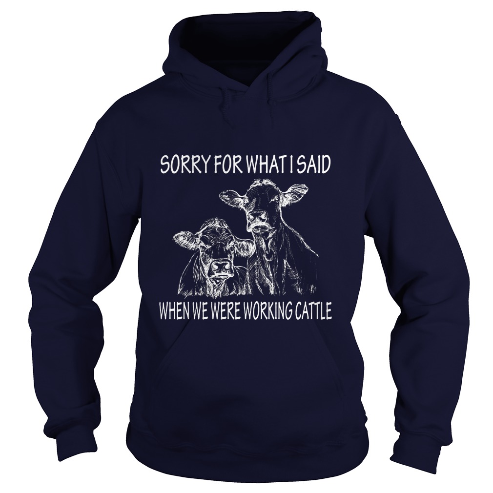 Sorry For What I Said When We Were Working Cattle Hoodie