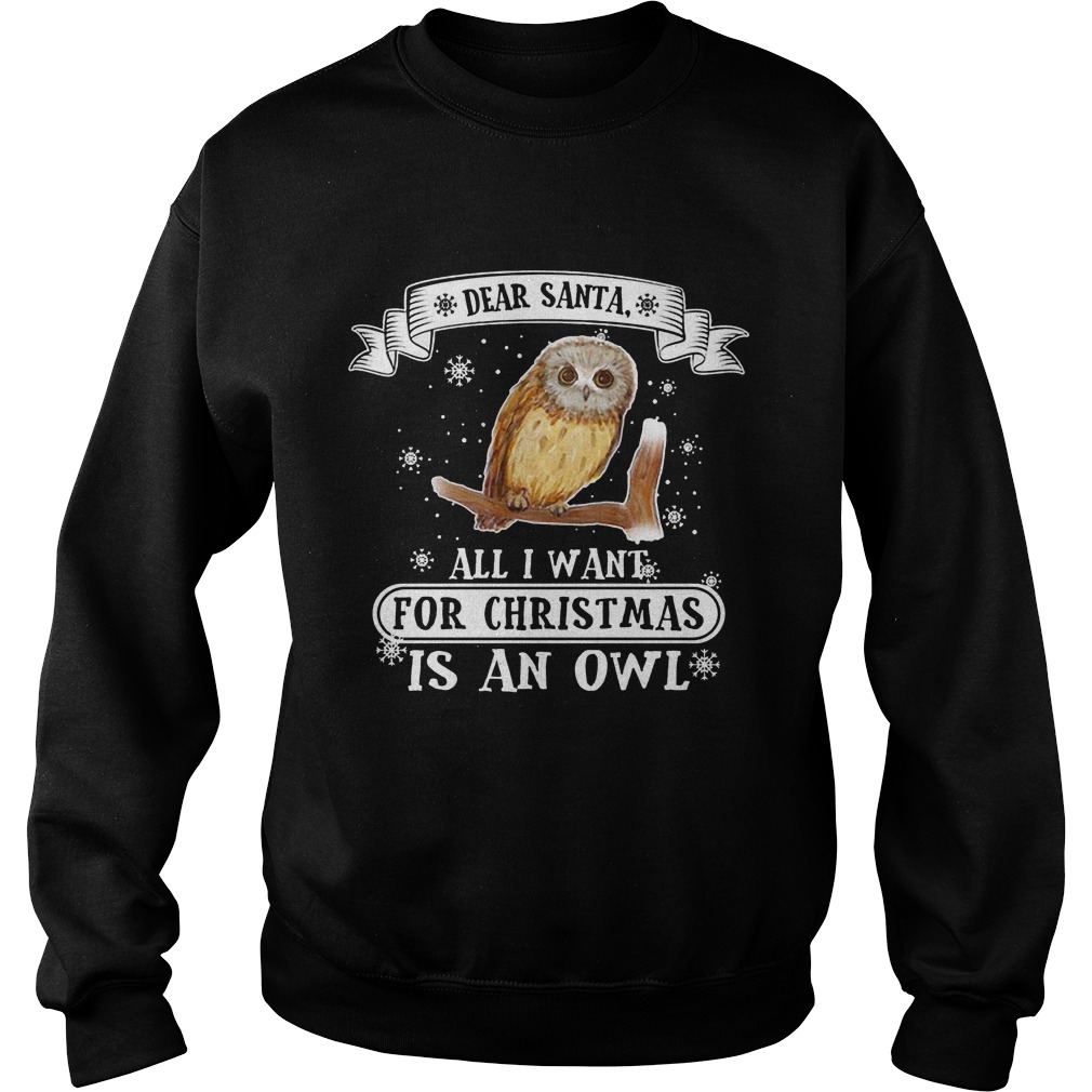 Dear Santa Want Christmas Owl Sweater