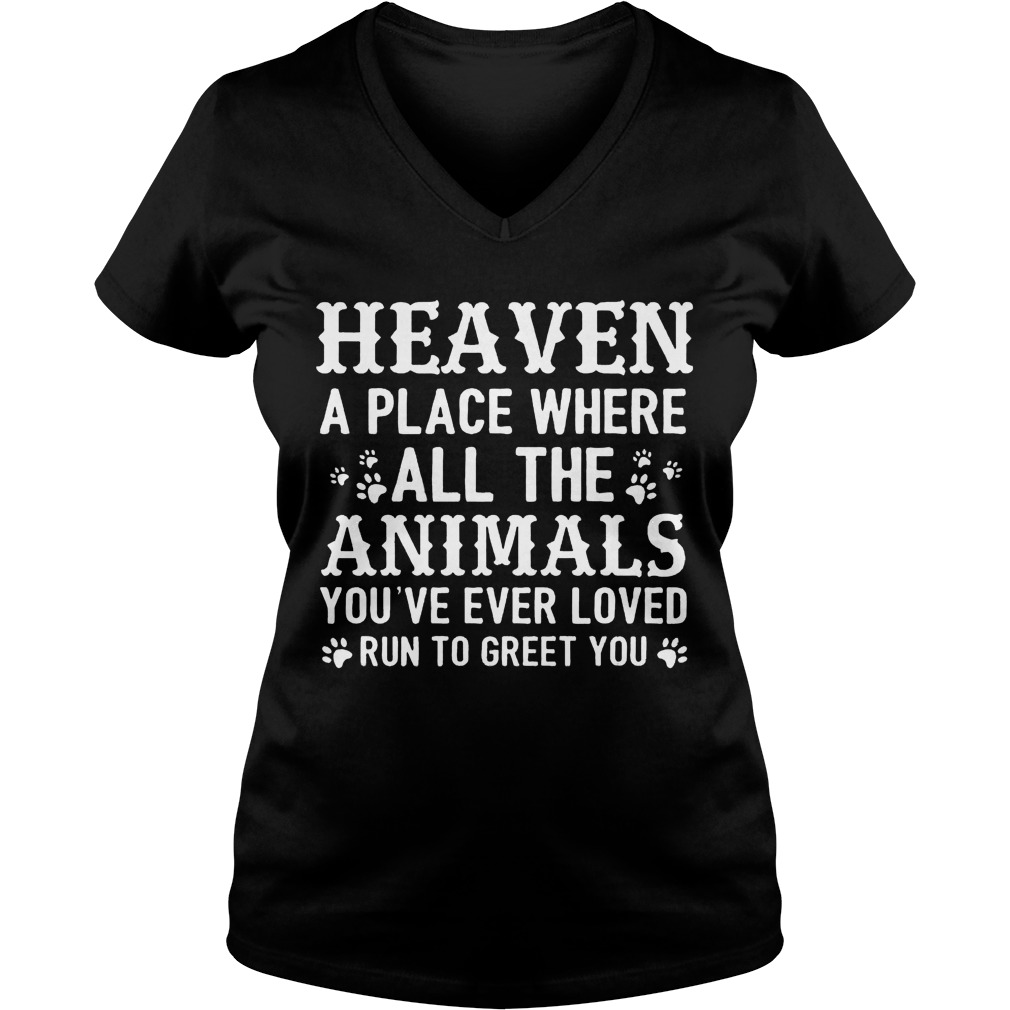 Heaven A Place Where All The Animals You've Ever Loved Run To Greet You Ladies V Neck