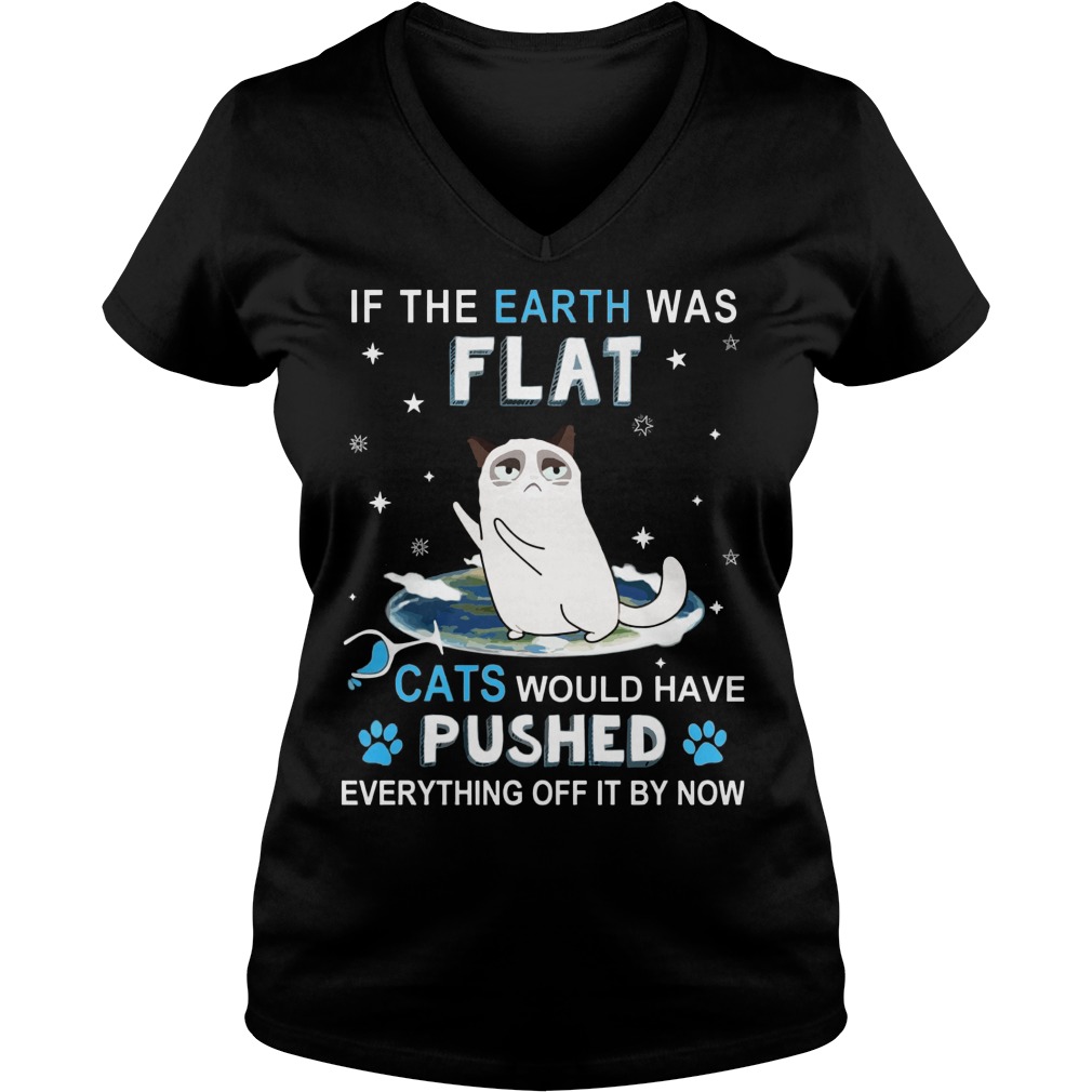 Earth Flat Cats Pushed Everything Off Now Vneck