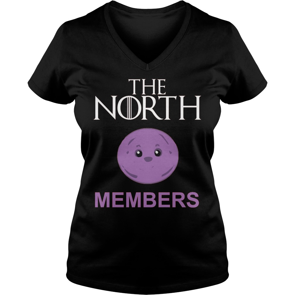 Queen In The North Shirt Ladie Vneck