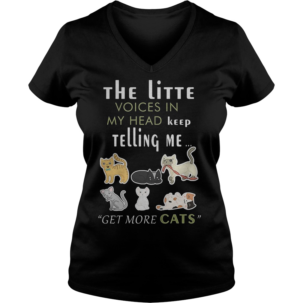 The Little Voices In My Head Keep Telling Me Ladie Vneck