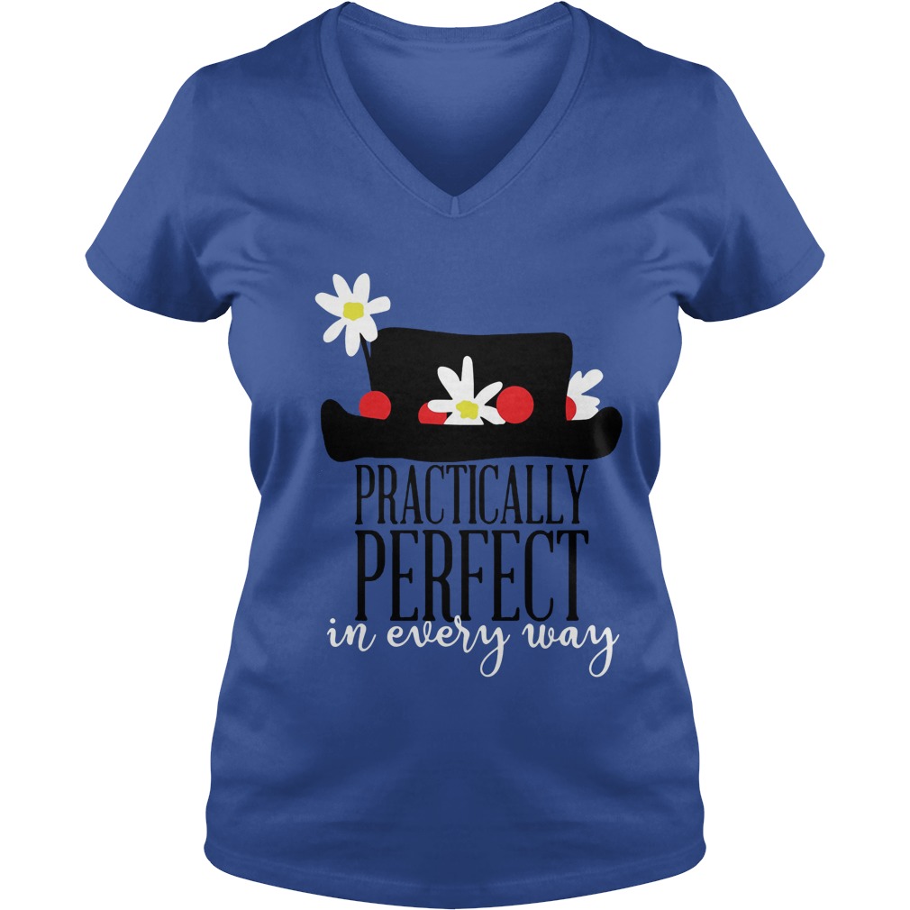 Practically Perfect Every Way Vneck