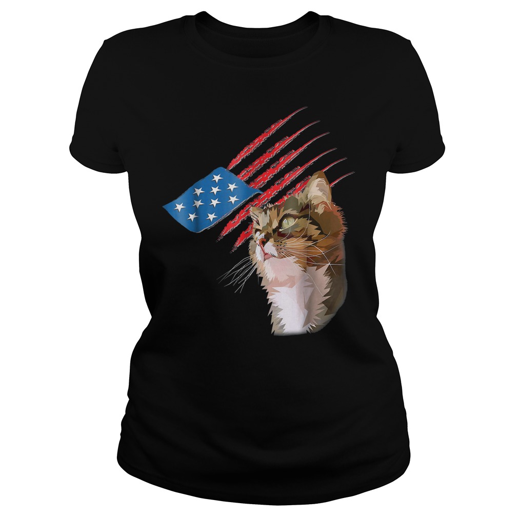 4th Of July Patriotic American Cat Ladies