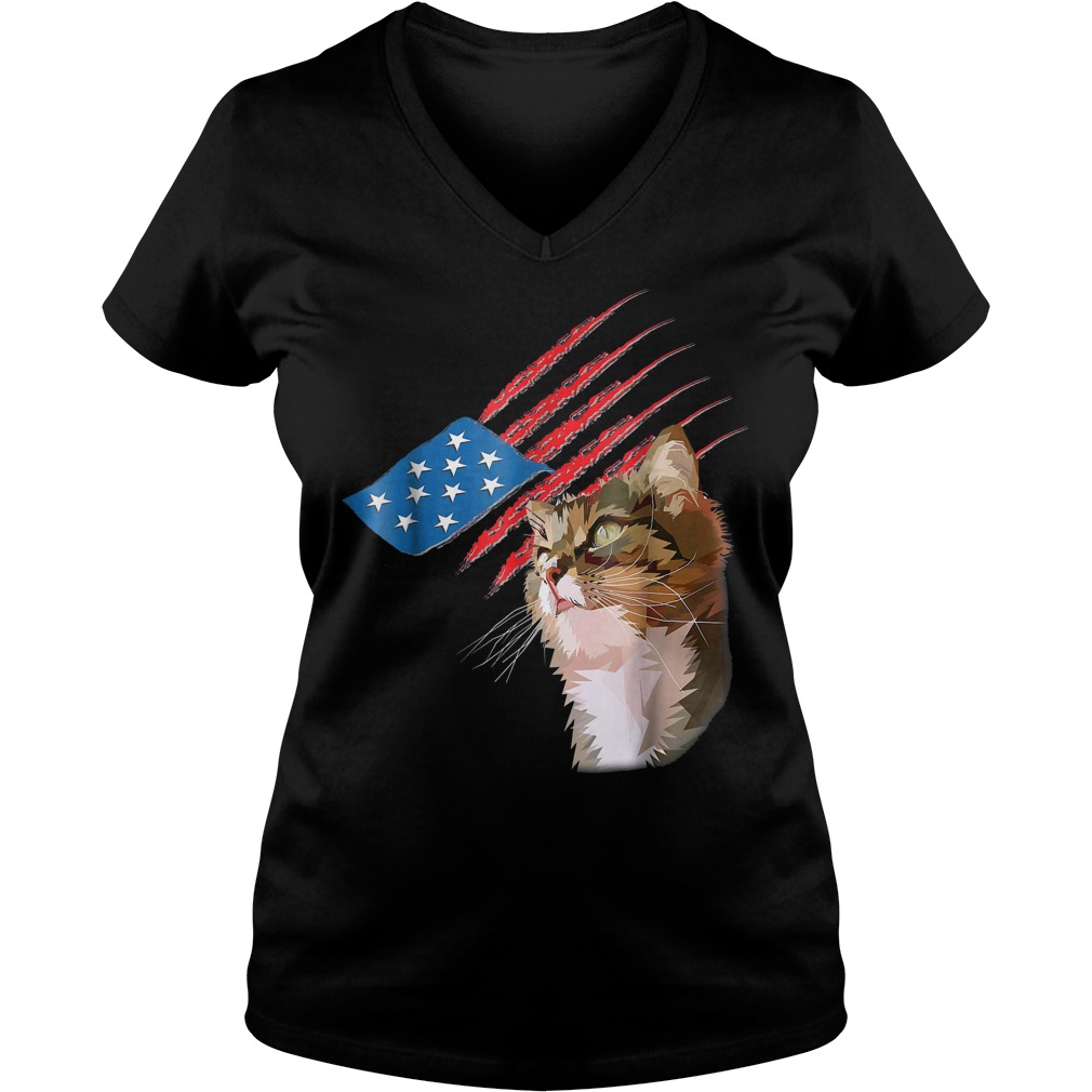 4th Of July Patriotic American Cat V Neck