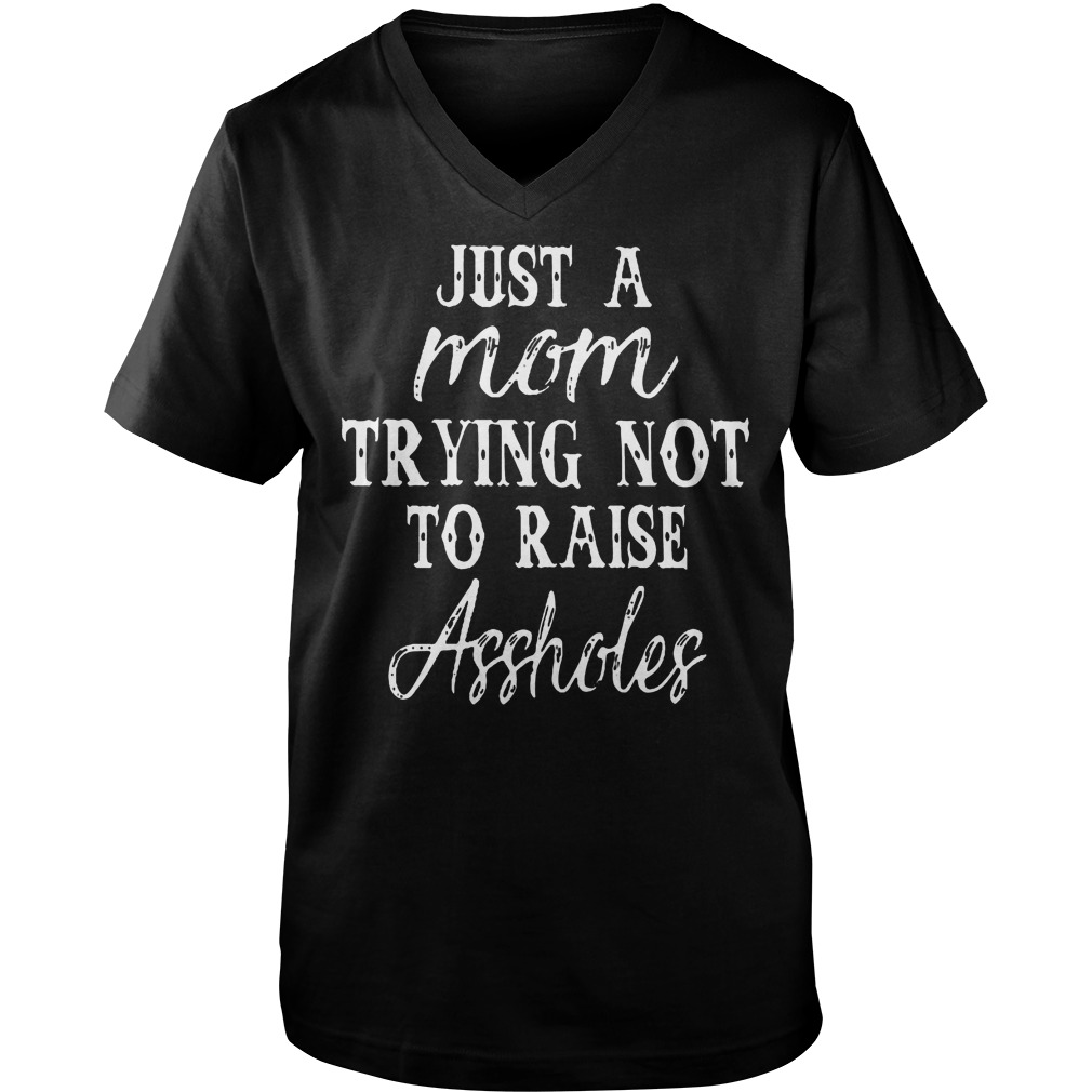 Just A Mom Trying Not To Raise Assholes T-Shirt Guys V-Neck