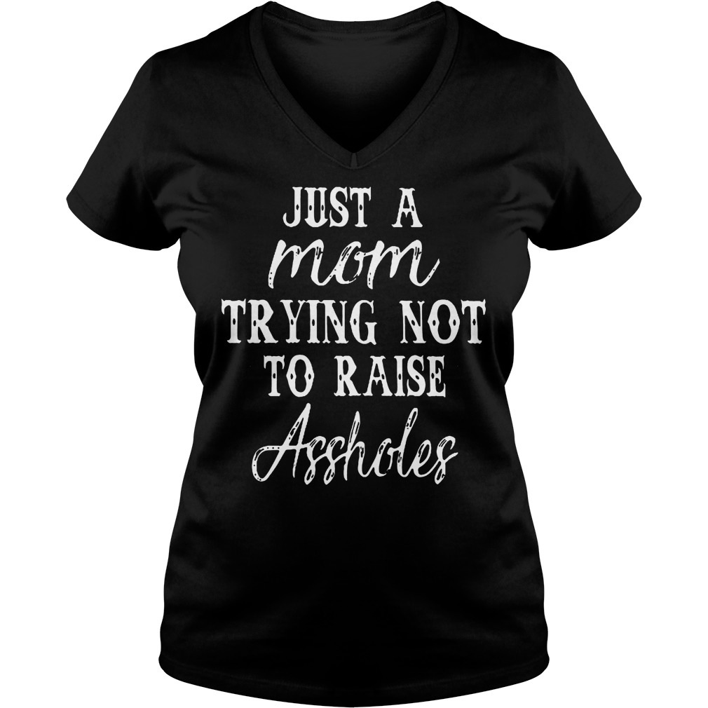 Just A Mom Trying Not To Raise Assholes T-Shirt Ladies V-Neck