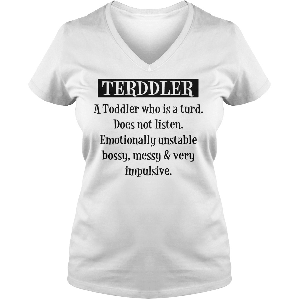 Terddler A Toddler Who Is A Turd Shirt Ladies V-Neck