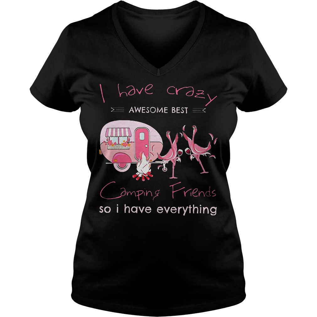 Flamingo camping i have crazy awesome best camping friends so i have everything shirt Ladies V-Neck
