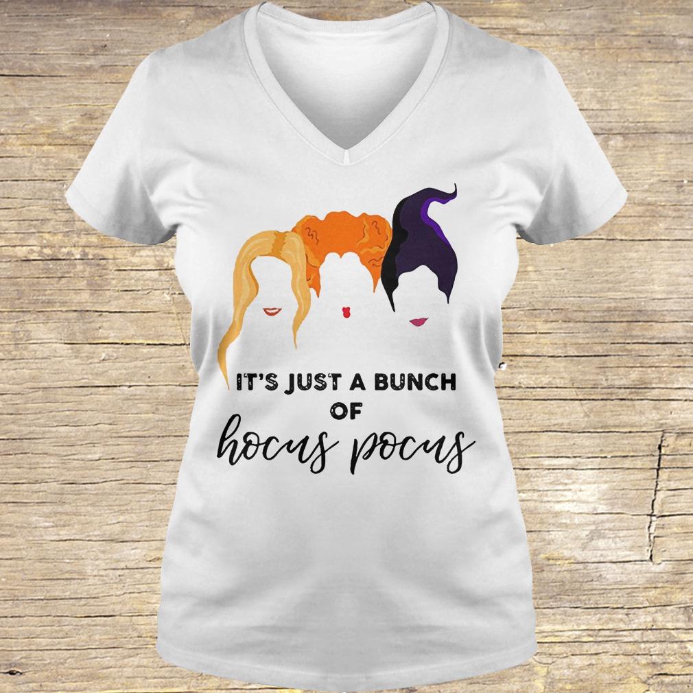 It's just a bunch of Hocus Pocus shirt Ladies V-Neck