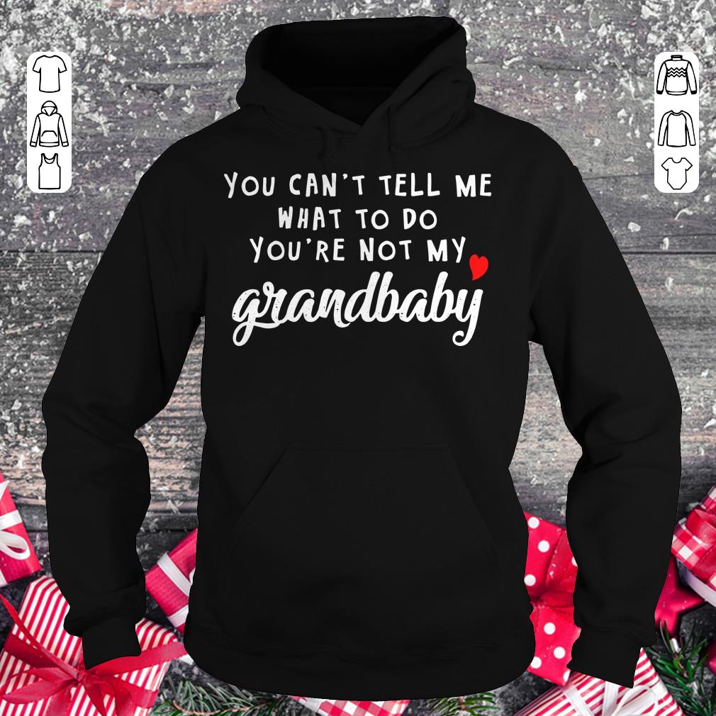 Nice You can't tell me what to do you're not my grandbaby shirt Hoodie