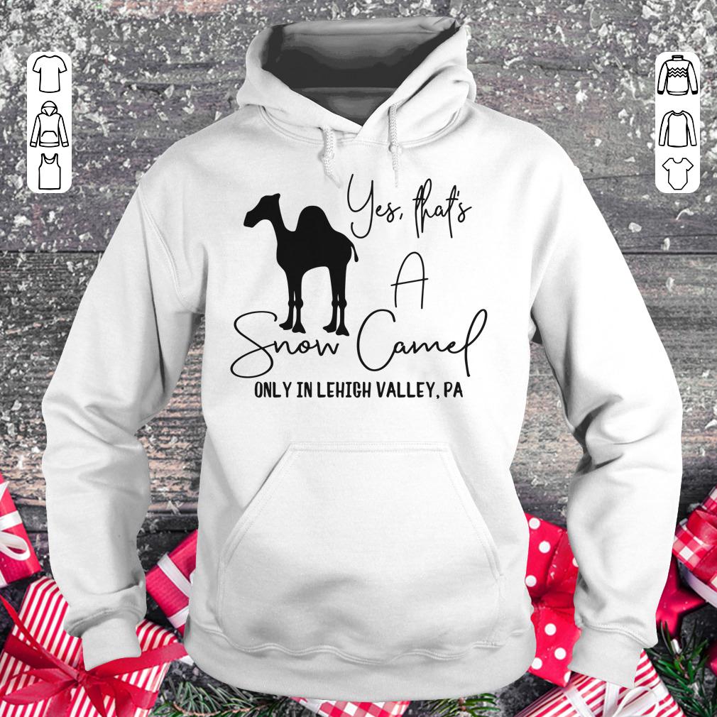 Snow Camel only in lehigh valley shirt Hoodie