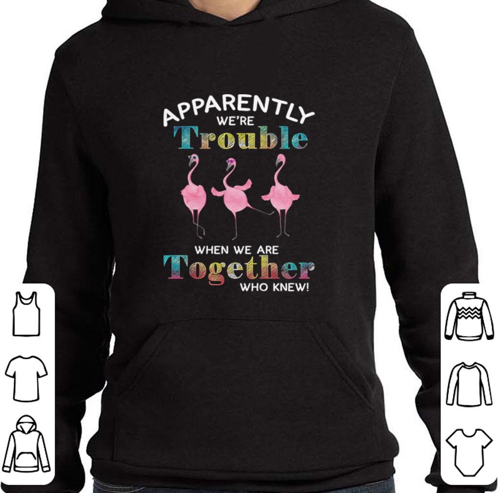 Official Flamingos apparently we’re trouble when we are together who knew shirt