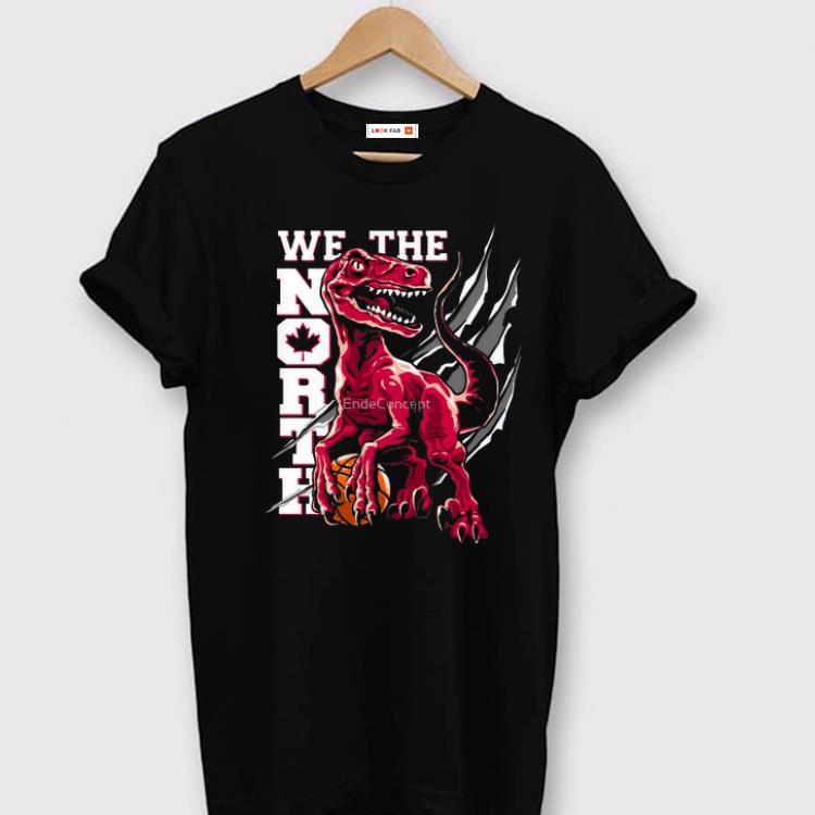 Toronto raptors we the north shirt, hoodie, sweater, long sleeve