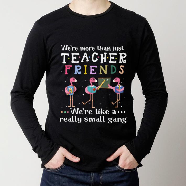 Premium Flamingos we're more than just teacher friends we're like a shirt