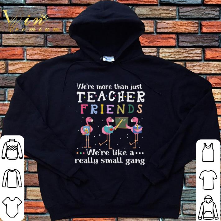 Pretty Flamingos we're more than just teacher friends we're like a shirt