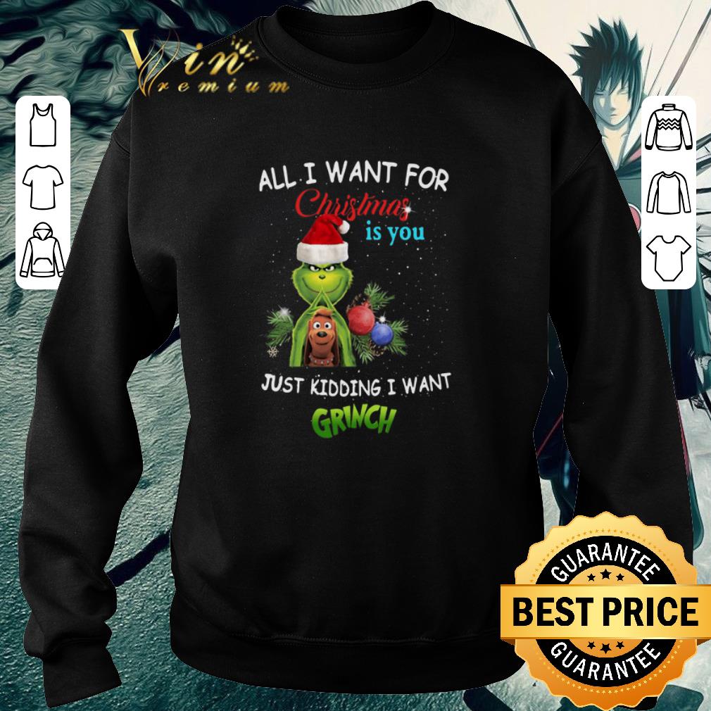 Pretty All i want for Christmas is you just kidding i want Grinch Santa shirt