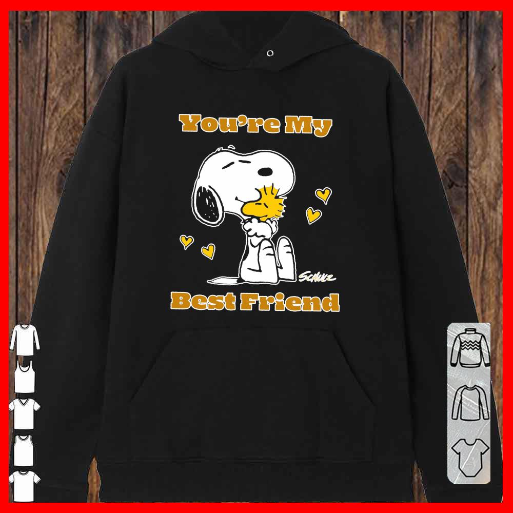 Snoopy And Charlie Brown You're My Best Friends Hoodies
