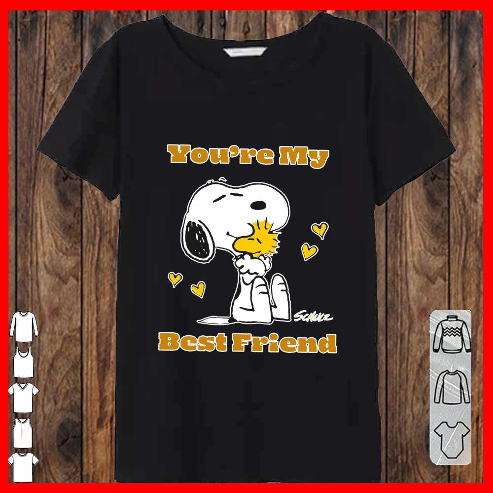 Snoopy And Charlie Brown You're My Best Friends Women-T-shirt