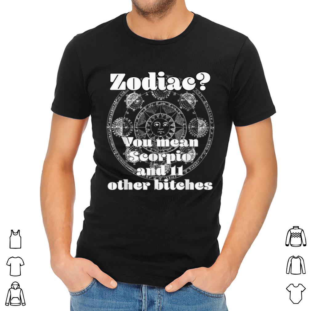 Nice Zodiac You mean Scorpio And 11 Other Bitches shirt 2 Nice Zodiac You mean Scorpio And 11 Other Bitches shirt 2