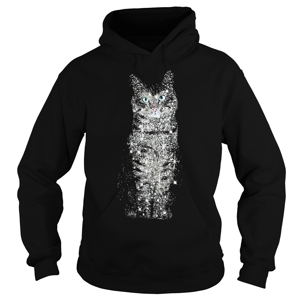 Best Price Cat bling shirt 8 Best Price Cat bling shirt Hoodie