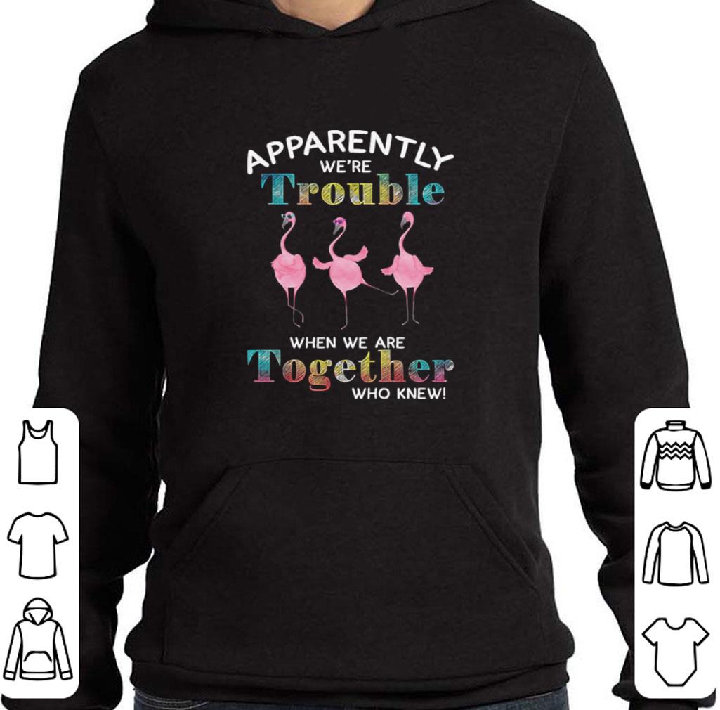 Premium Flamingos apparently we’re trouble when we are together who knew shirt