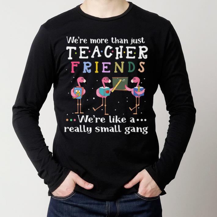 Flamingos we're more than just teacher friends we're like a shirt