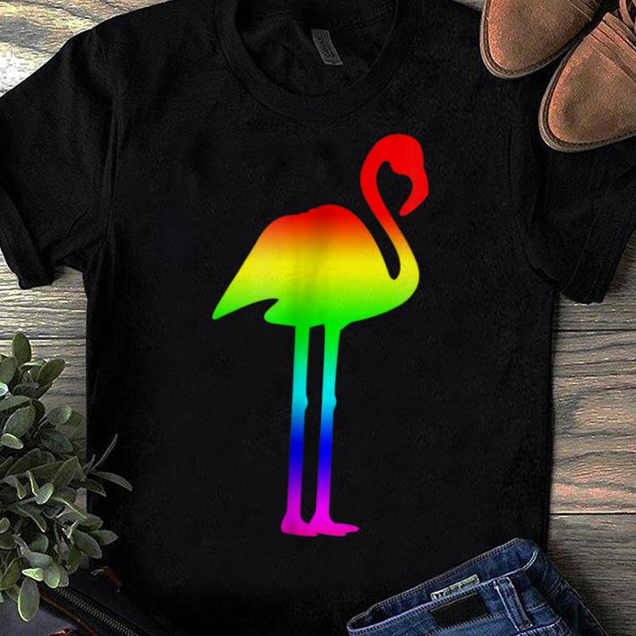Pretty LGBT Pride Colors Flamingo - Wading Bird Lover shirt