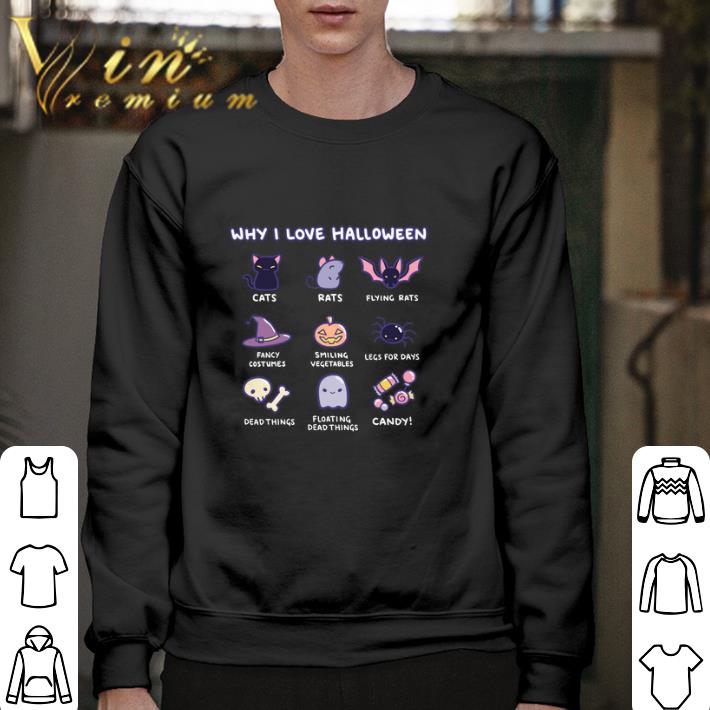 Original Why i love halloween cats rats flying rats fancy costumes shirt