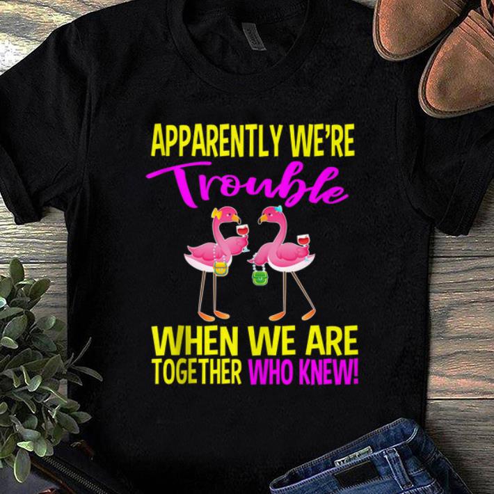 Pretty Apparently We Are Trouble When We Are Together Who Knew Flamingo shirt