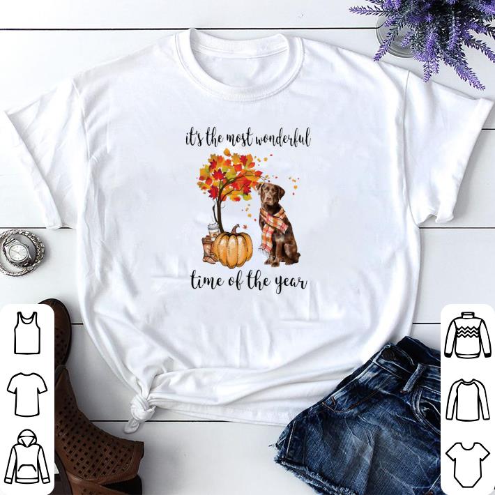 Funny Pumpkin & Labrador it's the most wonderful time of the year shirt 6 Funny Pumpkin & Labrador it's the most wonderful time of the year shirt