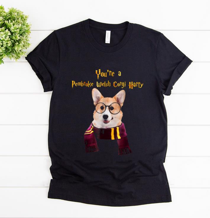 Top Pembroke Welsh Corgi Dog Potter Halloween - You're A shirt