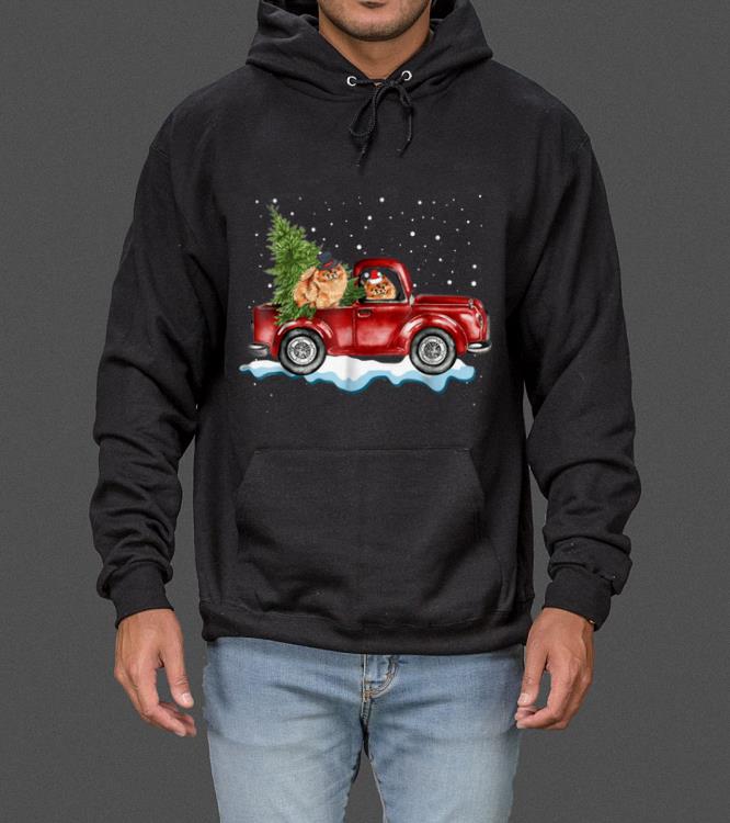 Pomeranian Dog Pickup Truck Christmas sweater