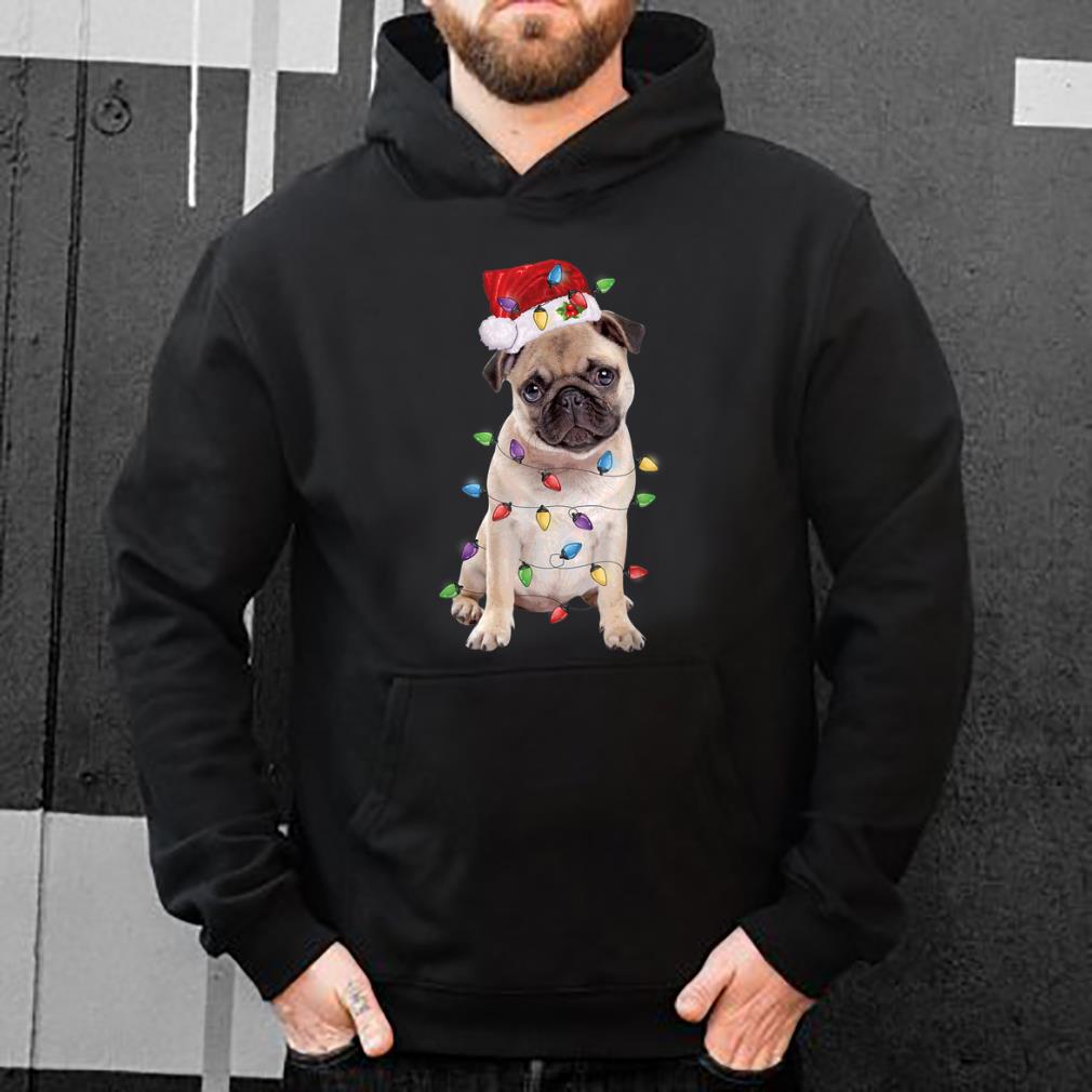 Premium Funny Santa Pug Christmas Lights Gift Pug Dog Lover Xmas sweater
